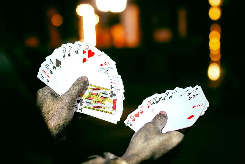 Khelbet Game Variety: 100+ Slots & Casino Games